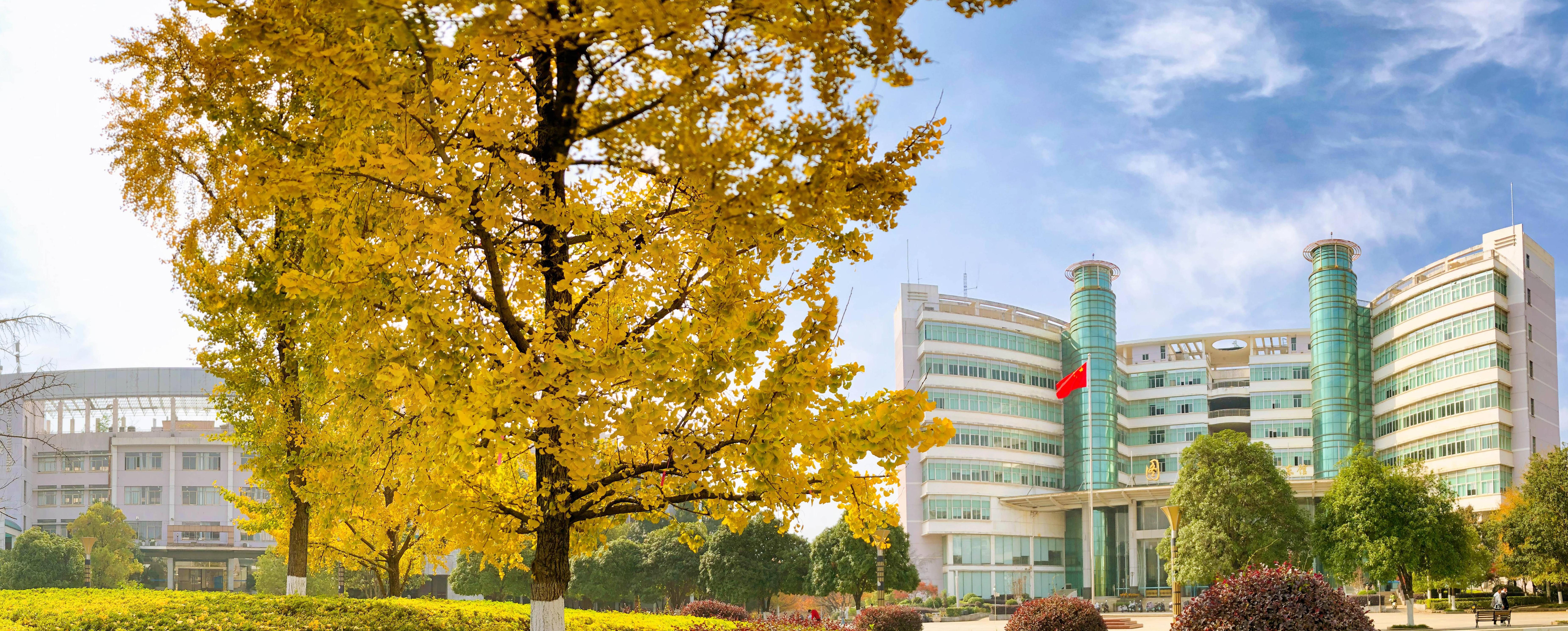 CSUFT校园图片-陶铸广场-汪斌(1).jpg